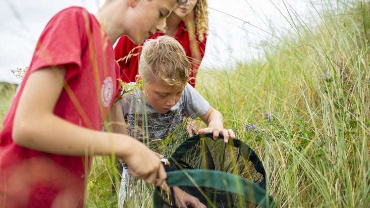 Children bug hunting amongst coastal grass.